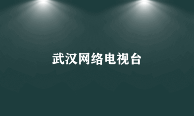 武汉网络电视台